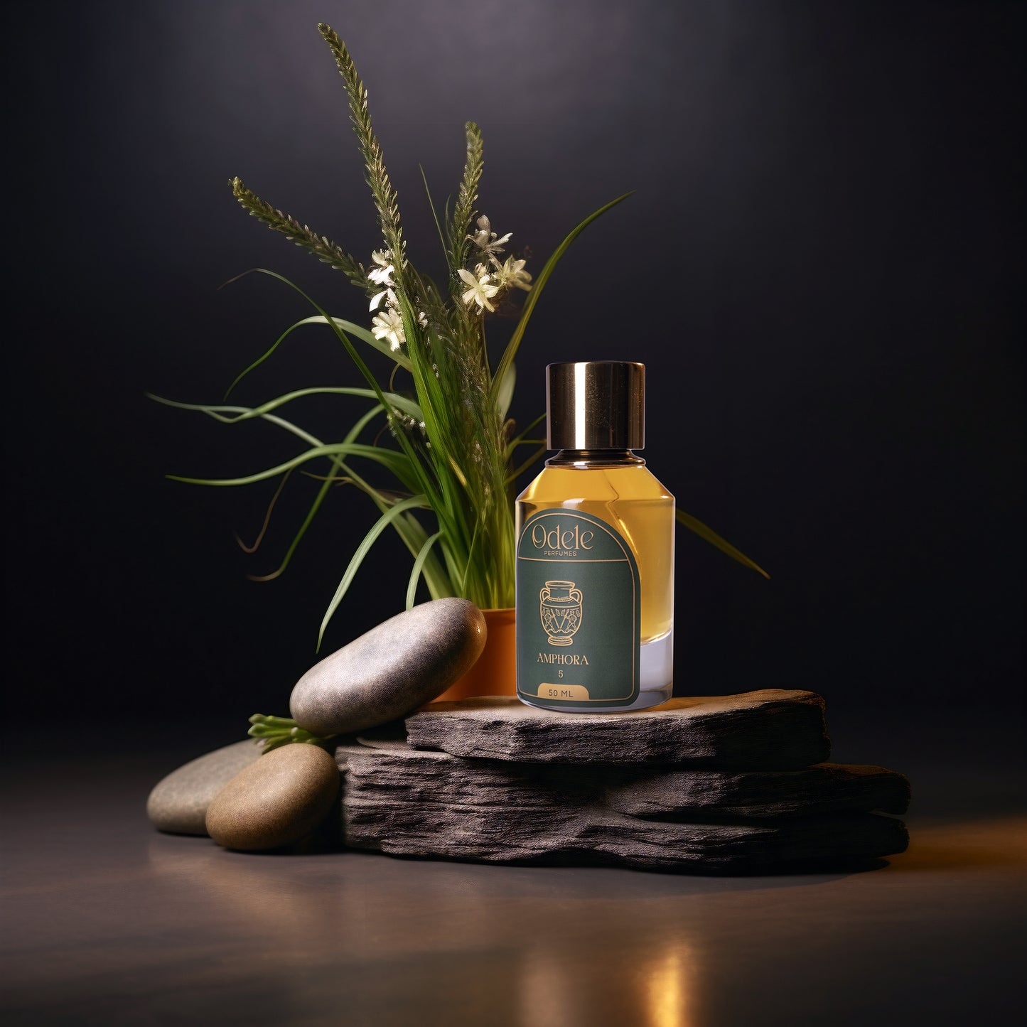 AMPHORA 5