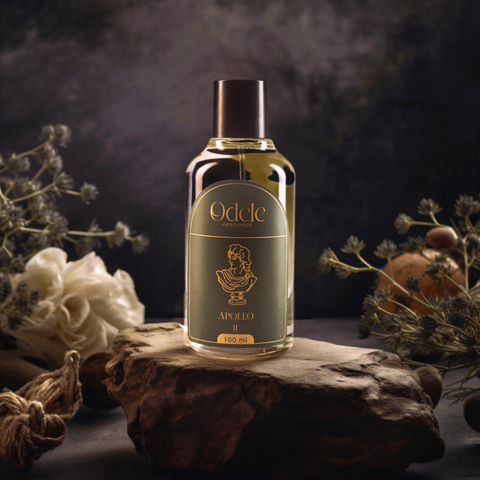 APOLLO 11 inspired by La Nuit de l'Homme by Yves Saint Laurent